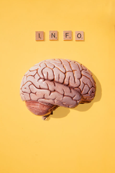 Imagem com um cerebro que direciona para a categoria de memoria