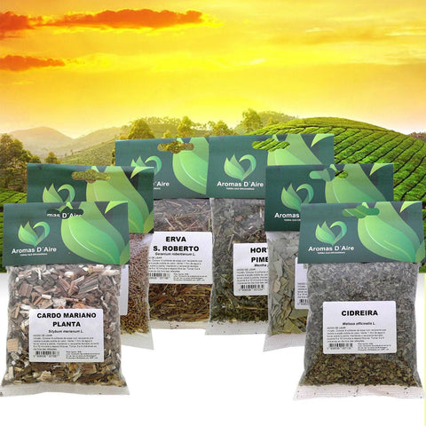 Plantas Medicinais - naturvida.pt