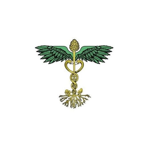 Supernaturals - naturvida.pt