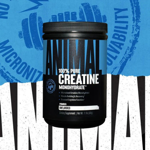 Animal 100% Pure Creatine Monohydrate - 500 grs - Universal Nutrition - naturvida.pt