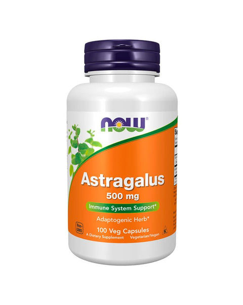 Astragalus 500mg - 100 Cápsulas - Now Foods - naturvida.pt