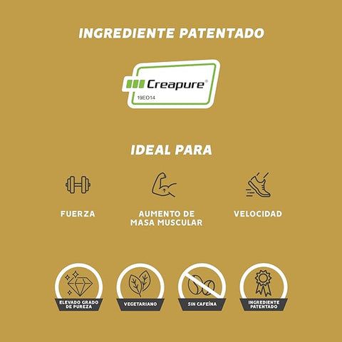 Creatina 1000mg - 60 Tabletas - Gold Nutrition