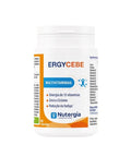 ErgyCebe - 90 Cápsulas - Nutergia - naturvida.pt