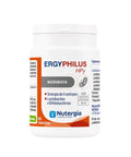 ErgyPhilus HPy – 60 Cápsulas – Nutergia - naturvida.pt
