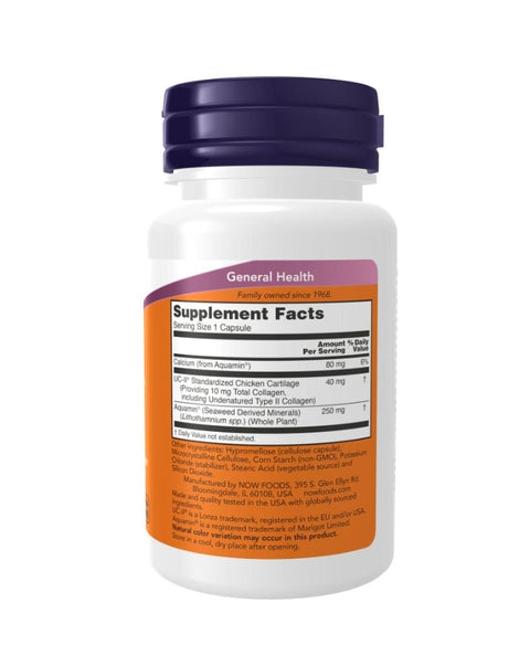 UC-II Type II Collagen - 60 Cápsulas - Now Foods - naturvida.pt